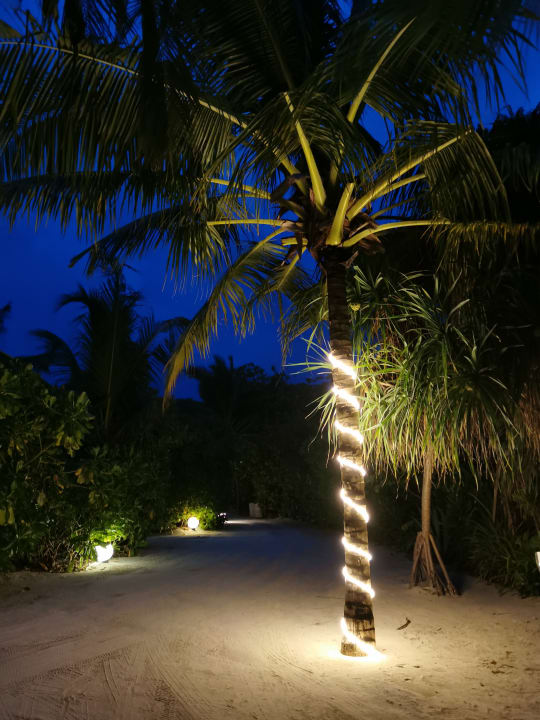 Sonsiges Kuredhivaru Resort and Spa, Maldives