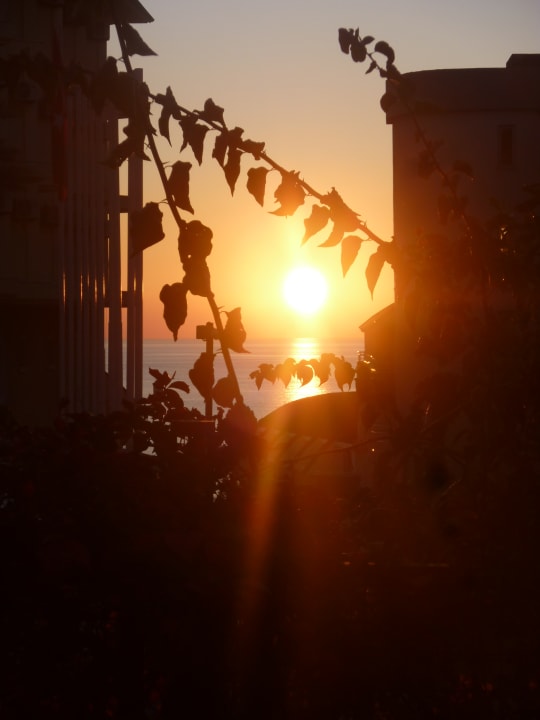 Ausblick Side Alegria Hotel & Spa - Adults only +16