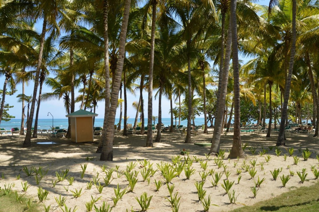 Strand Playabachata Hotel