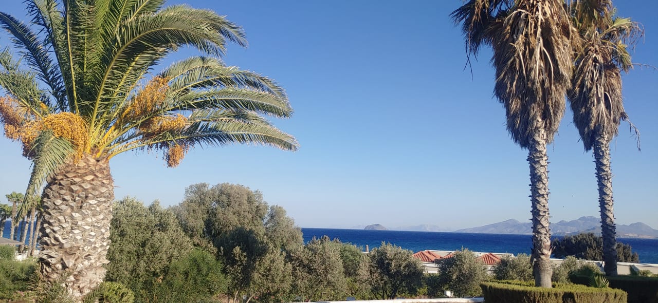 Ausblick Porto Bello Royal