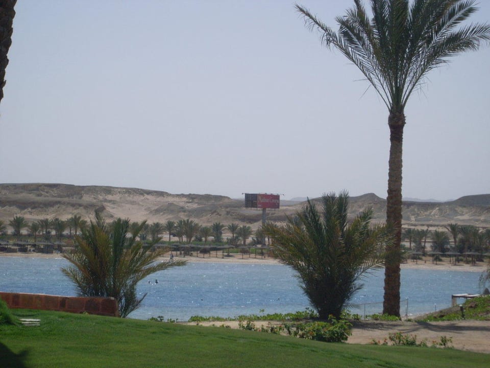 Bucht Steigenberger Coraya Beach - Adults only