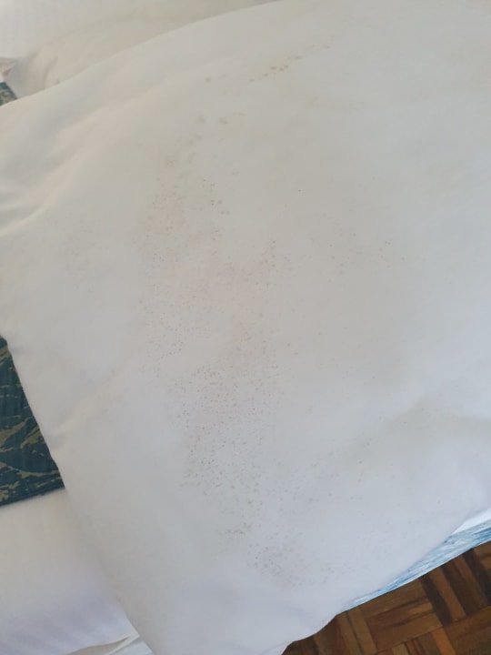 Zimmer Hotel Traveller's Club