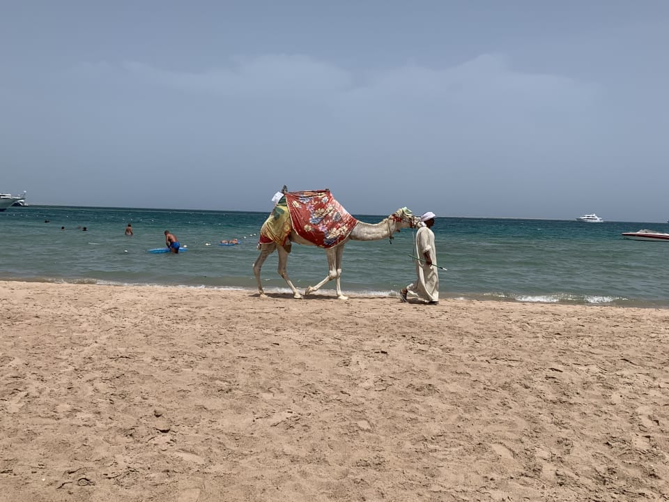 Strand Giftun Azur Resort