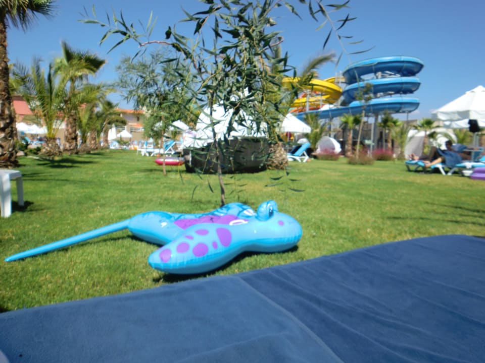 Liegewiese mit Blick auf Rutschen Sultan of Dreams Hotel & Spa