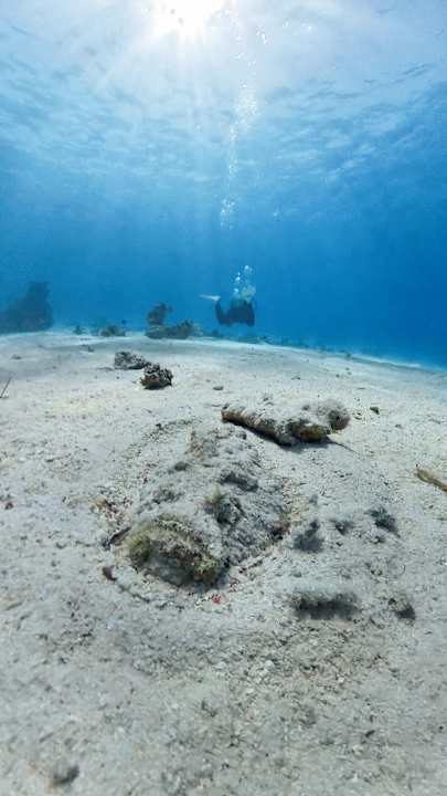 Strand Cleopatra Luxury Resort Makadi Bay