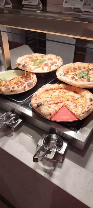 Gastro Acanthus Cennet Barut Collection