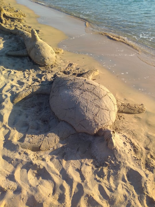 Strand Shams Safaga Resort