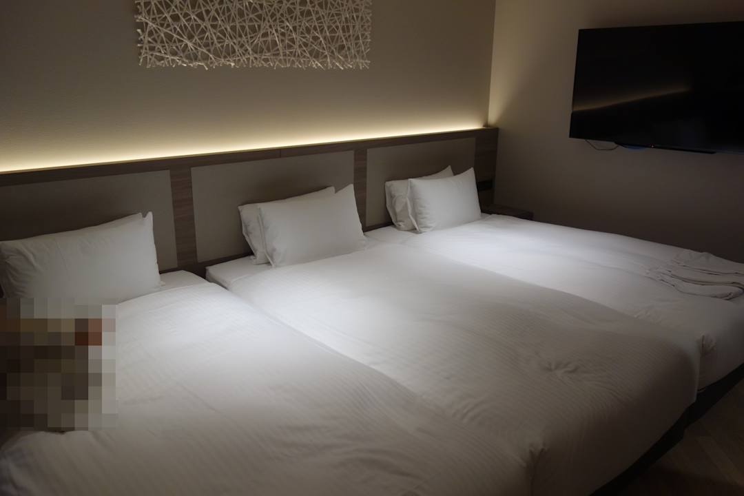 Zimmer HOTEL FORZA SAPPORO STATION