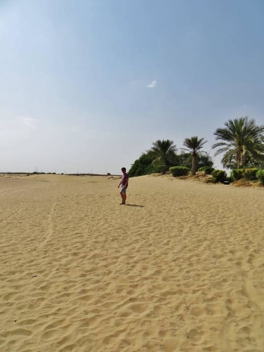 Blick in die Wüste Hotel Bab Al Shams Desert Resort & Spa