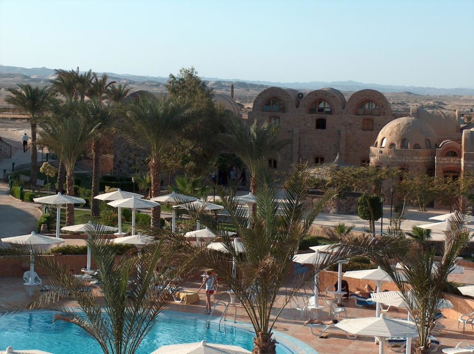 Pool hinter Palmen Utopia Beach Club