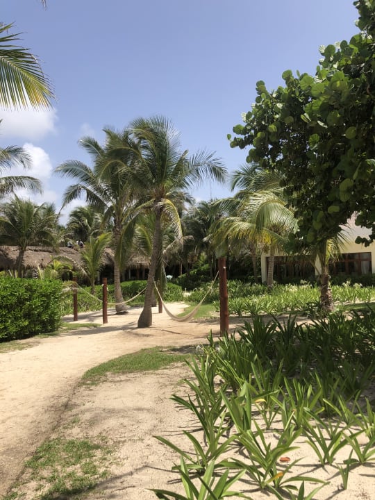 Gartenanlage Akumal Bay Beach & Wellness Resort