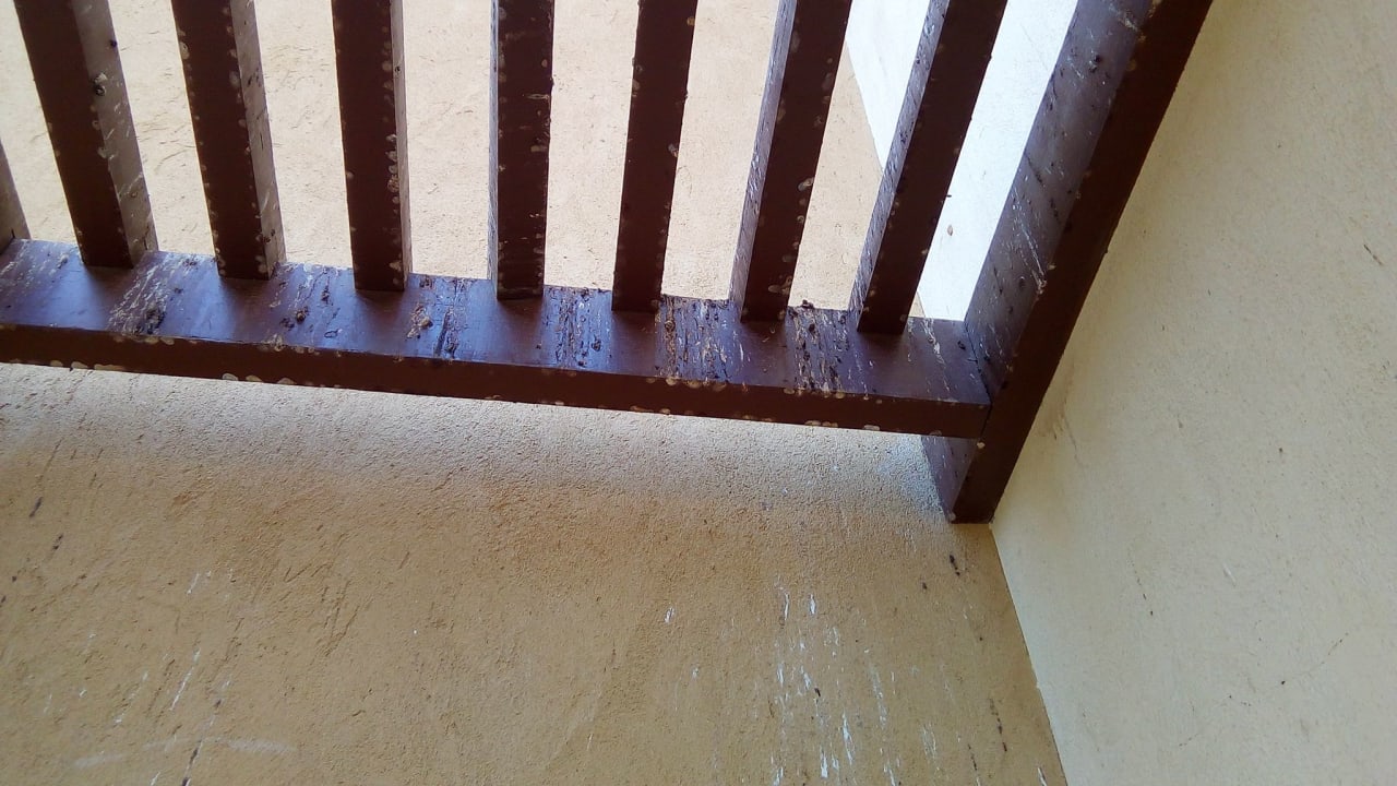 Zimmer Mövenpick Waterpark Resort & Spa Soma Bay