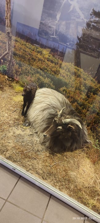 Ausblick Berghotel Hoher Knochen