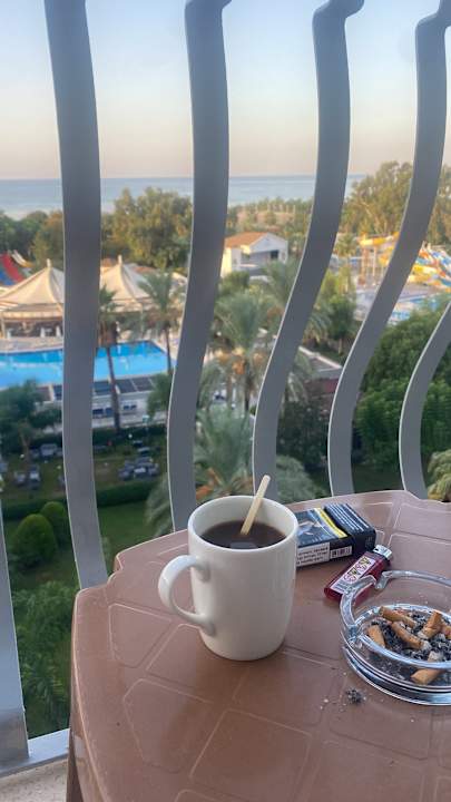 Zimmer Sunis Elita Beach Resort & Spa