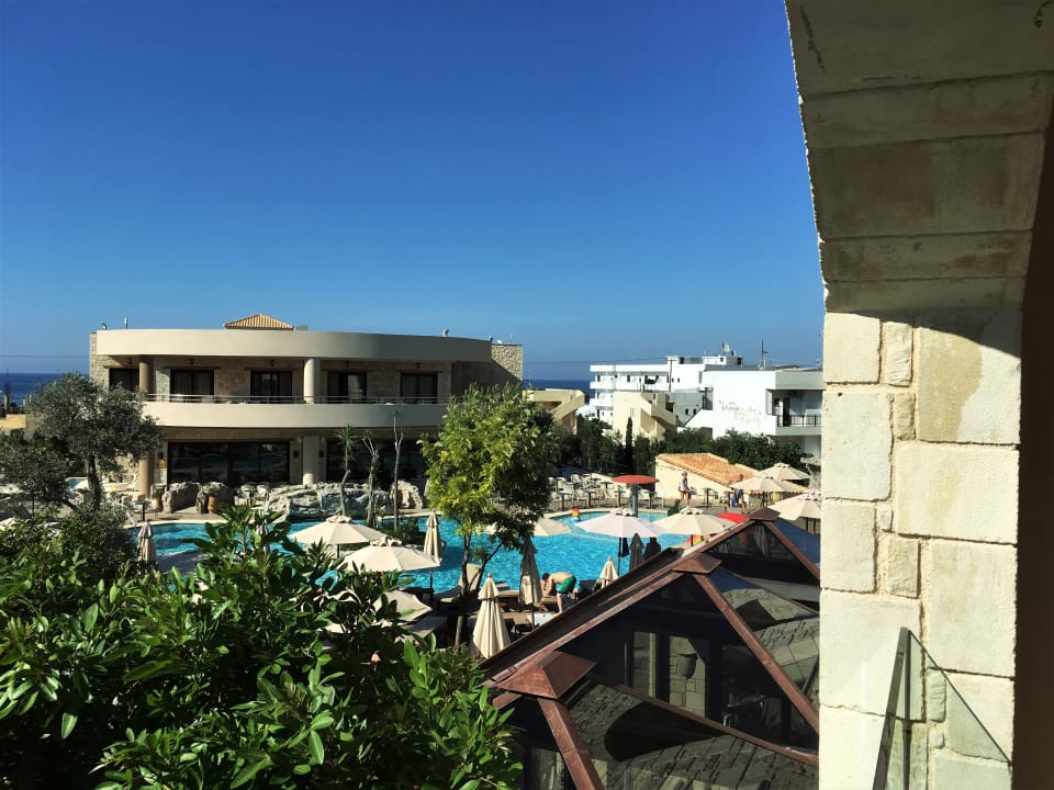 Ausblick Cactus Royal