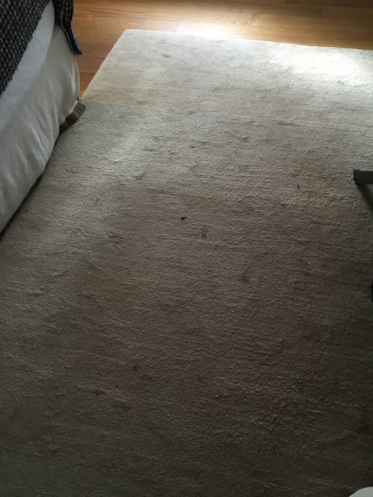 Schmutziger Teppich Hotel Locanda Rossa