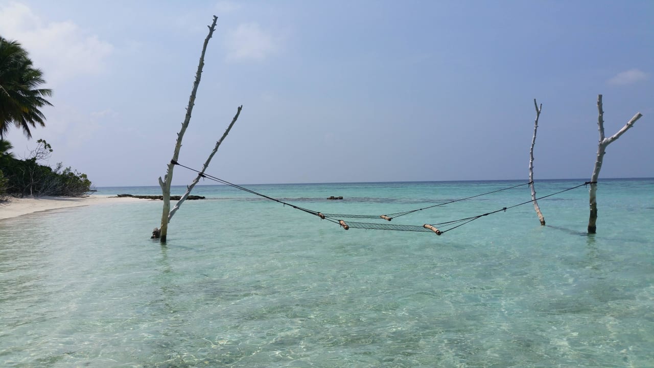 Hängematte aaaVeee Nature's Paradise