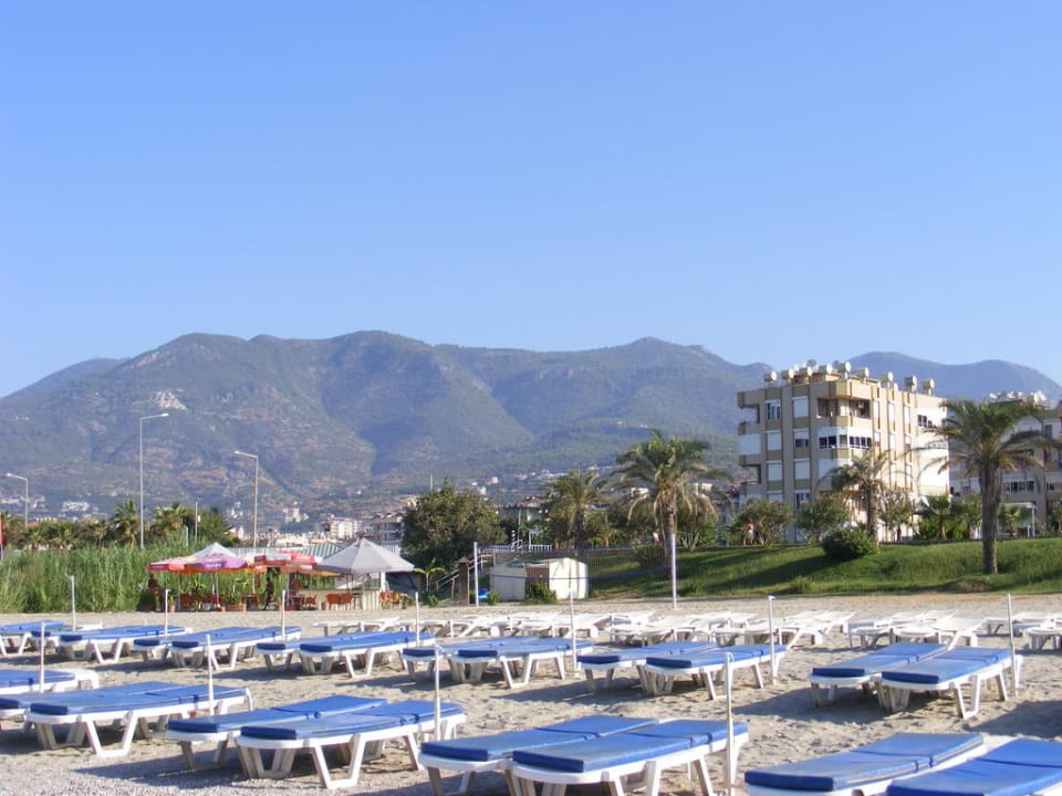 Um 7 uhr morgens Blue Diamond Alya