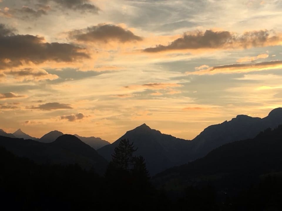 Ausblick Rosenhof Apartments