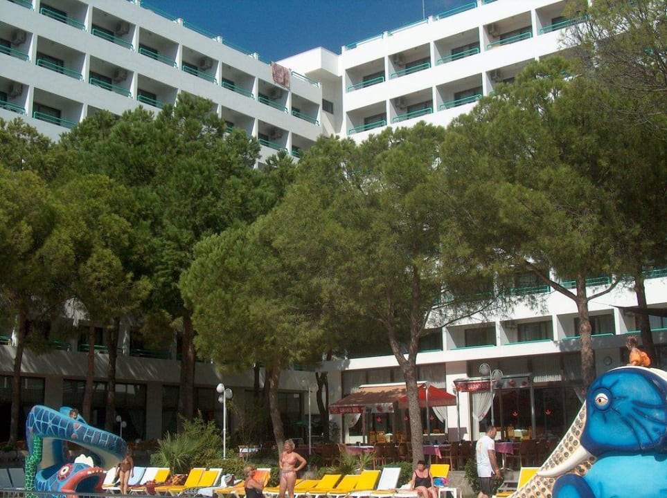 Blick vom Pool zum Hotel Hotel Grand Efe