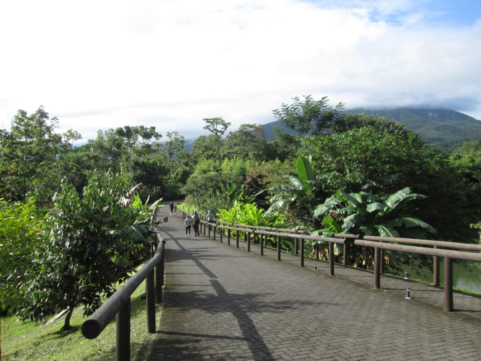 Weg durch die Anlage Arenal Manoa & Hot Springs Resort