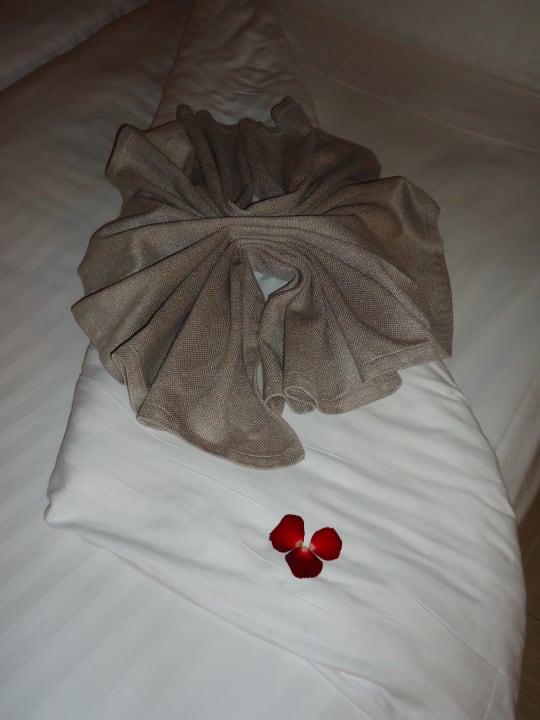 Zimmer Hotel Riu Palace Tikida Agadir