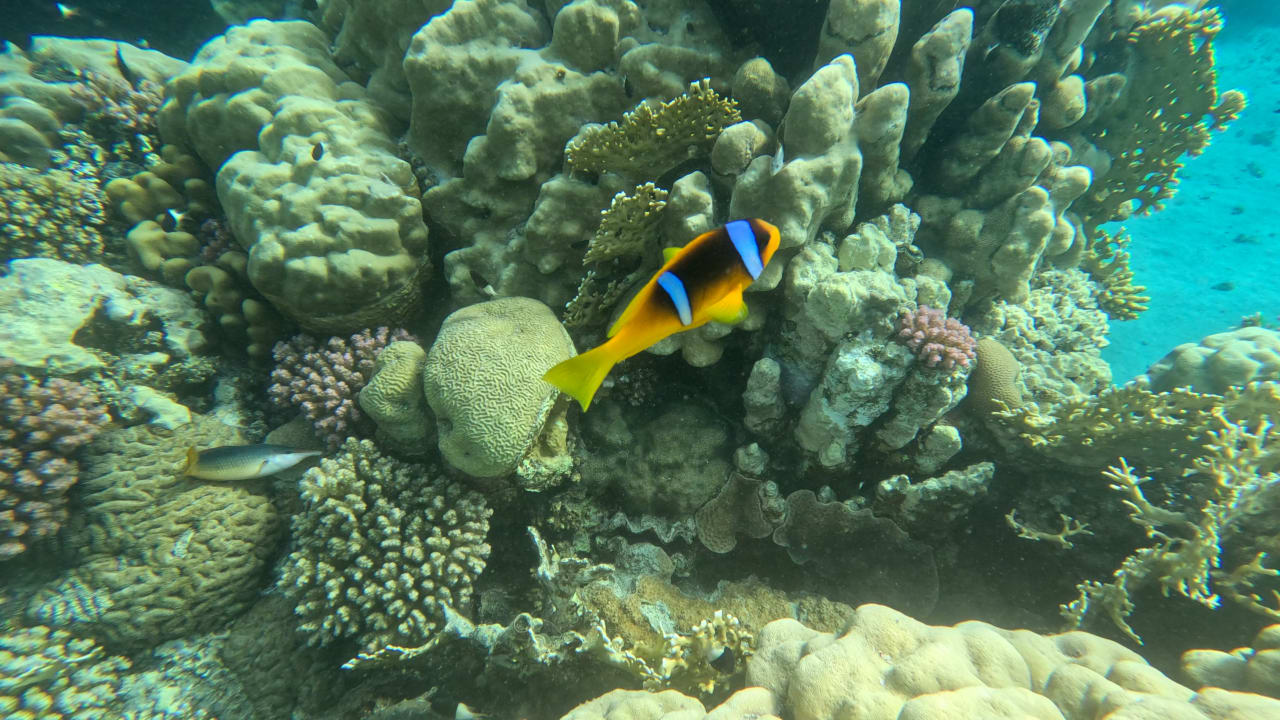 Sport & Freizeit Malikia Resort Abu Dabbab