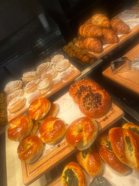 Gastro Papillon Zeugma Relaxury