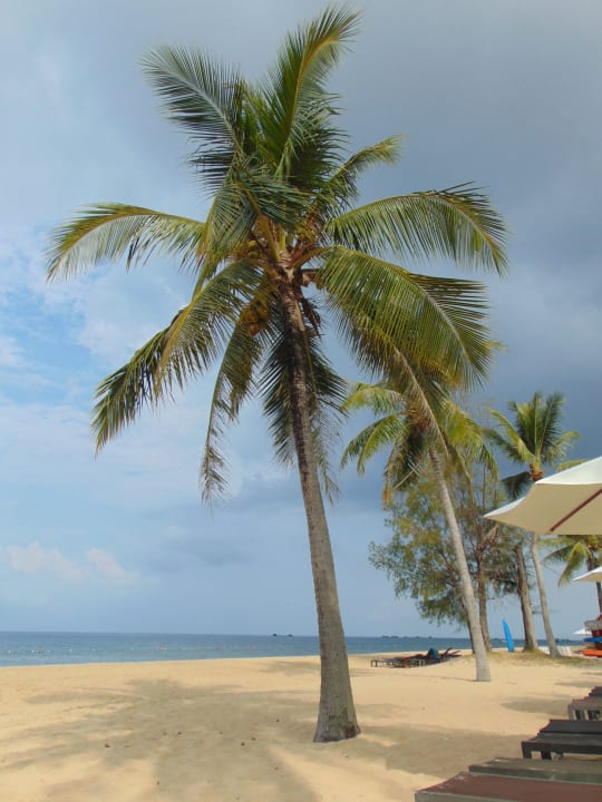 Strand Novotel Phu Quoc Resort