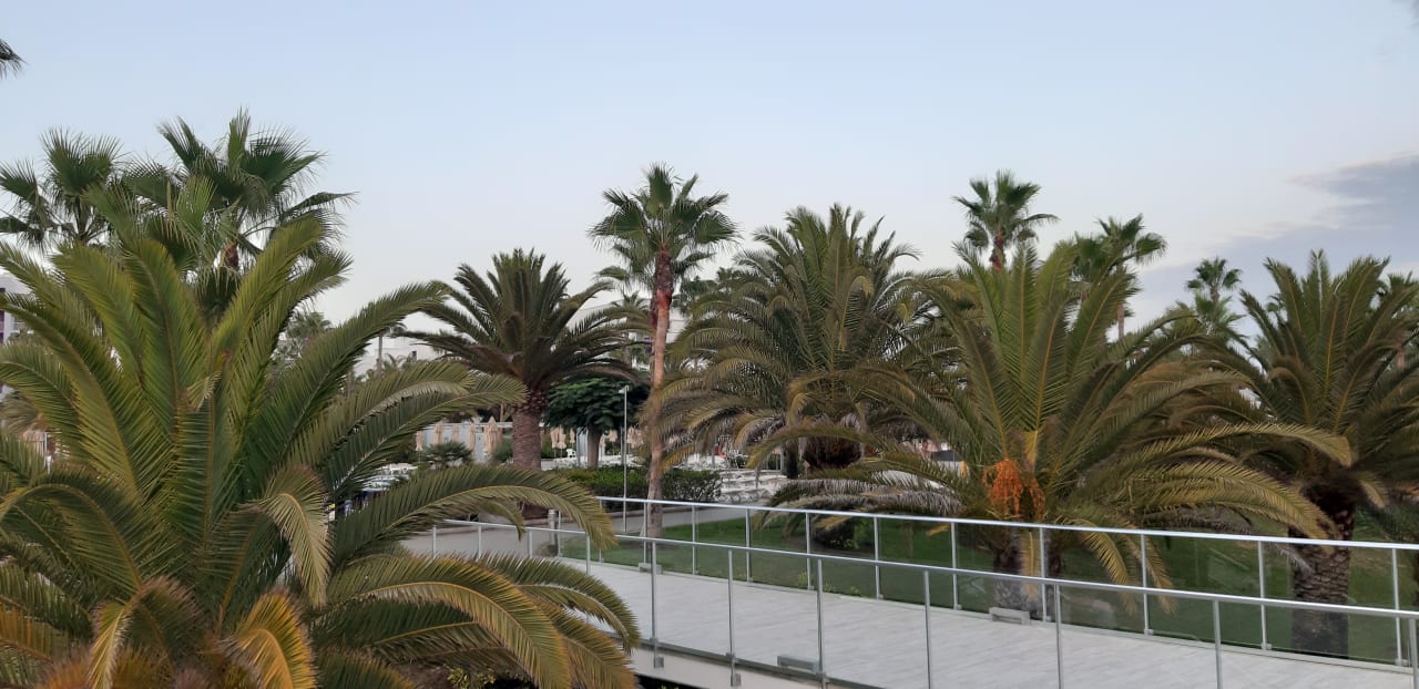 Gartenanlage Hotel Riu Gran Canaria