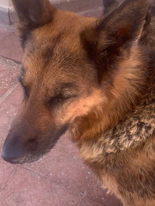 Sonstiges Marriott Hurghada Beach Resort