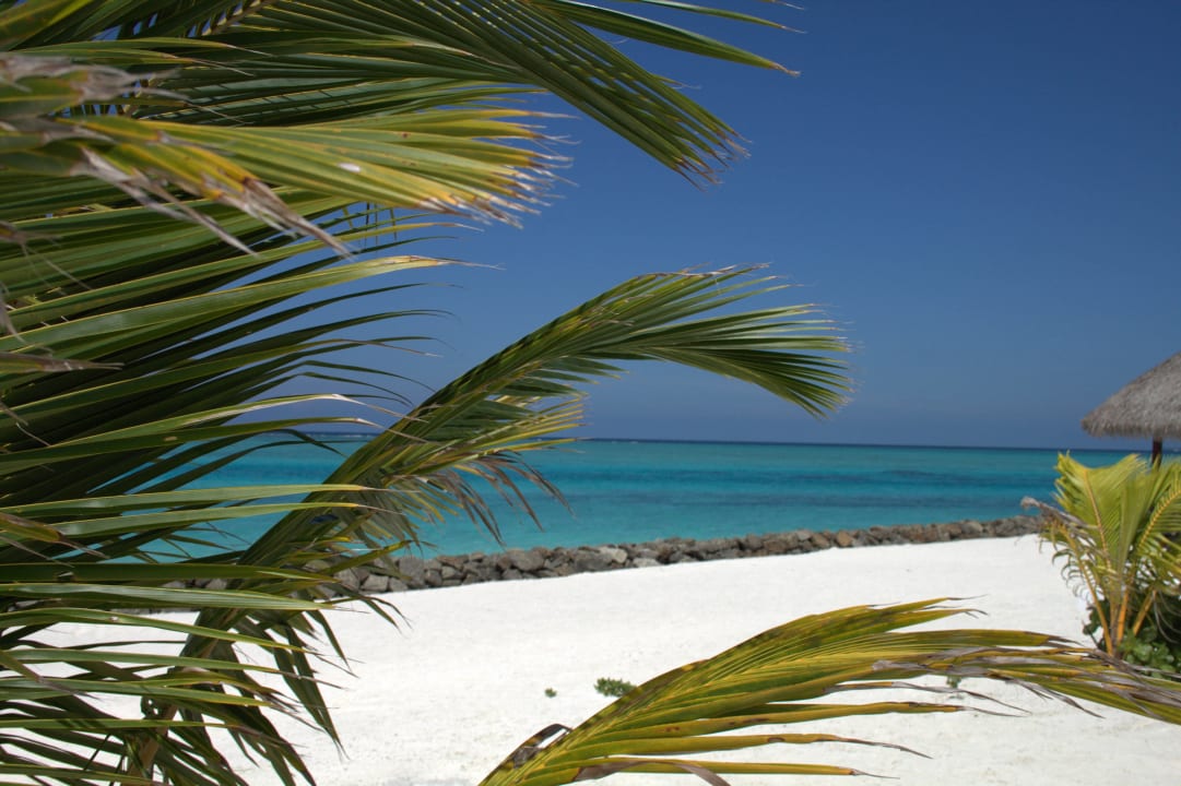 Süd Summer Island Maldives