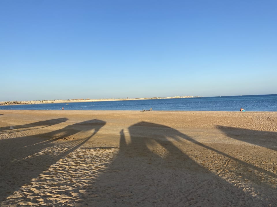 Strand Steigenberger Resort Ras Soma