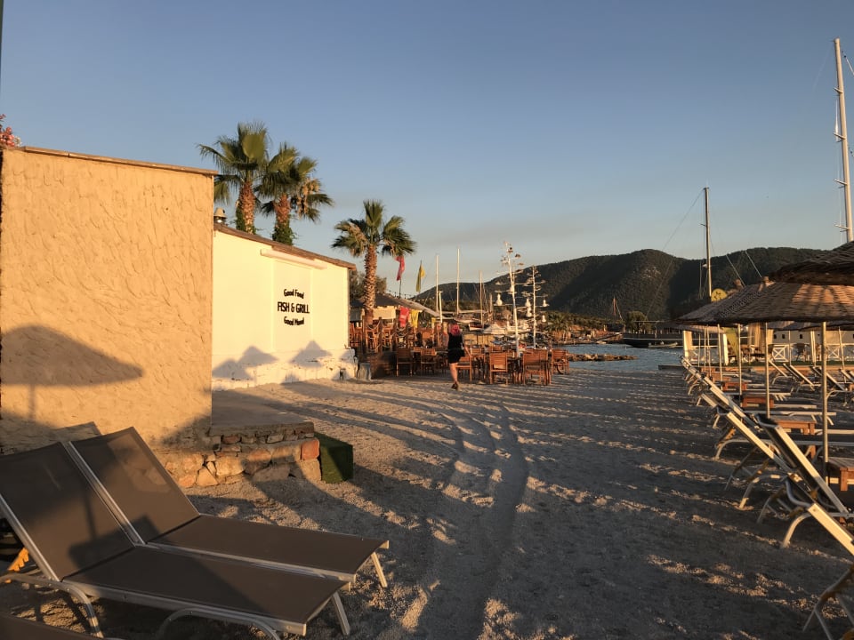Strand TUI MAGIC LIFE Bodrum - Adult Only (16+)