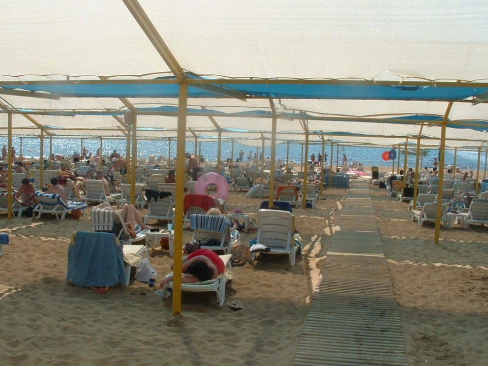 Für jeden eine Liege Hotel Orfeus Park