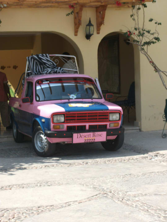 Wäscheauto Desert Rose