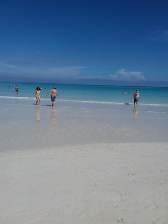 Warscheinlich der Schonste Strand Der Weld Starfish Cuatro Palmas