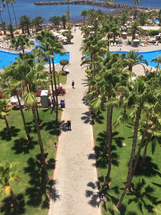 Gartenanlage Hotel Riu Palace Tenerife