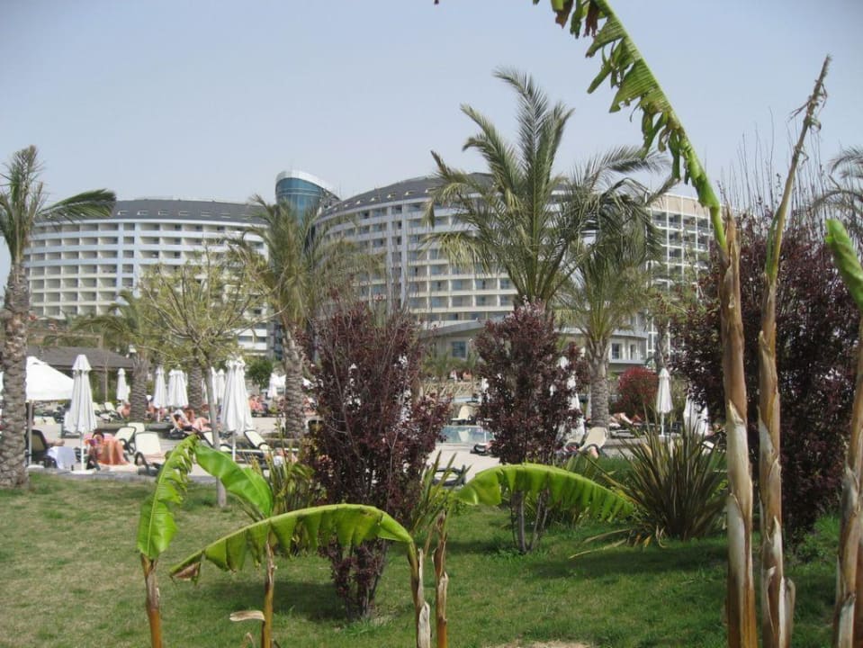 Ist das nicht schön? Royal Wings Hotel