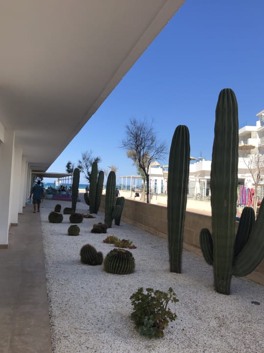 Außenansicht The Sea Hotel by Grupotel - Adults only