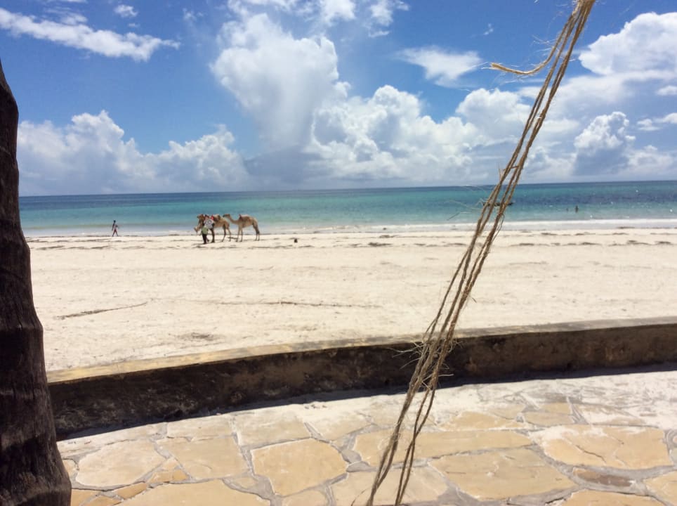 Strand Neptune Paradise Beach Resort & Spa