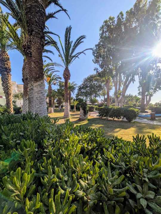 Gartenanlage Apollonia Beach Resort & Spa