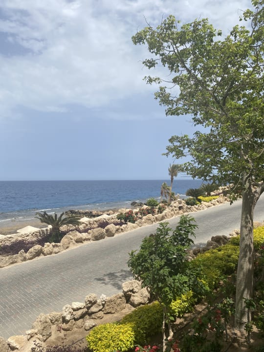 Strand Pickalbatros Citadel Resort