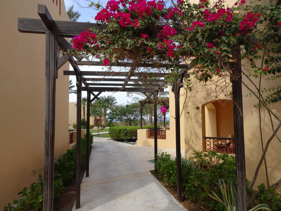 Weg durch die Anlage Steigenberger Coraya Beach - Adults only