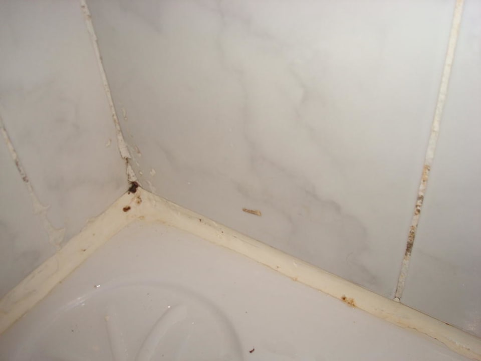 Hotel Regency Plaza Resort Regency Plaza Aqua Park & Spa