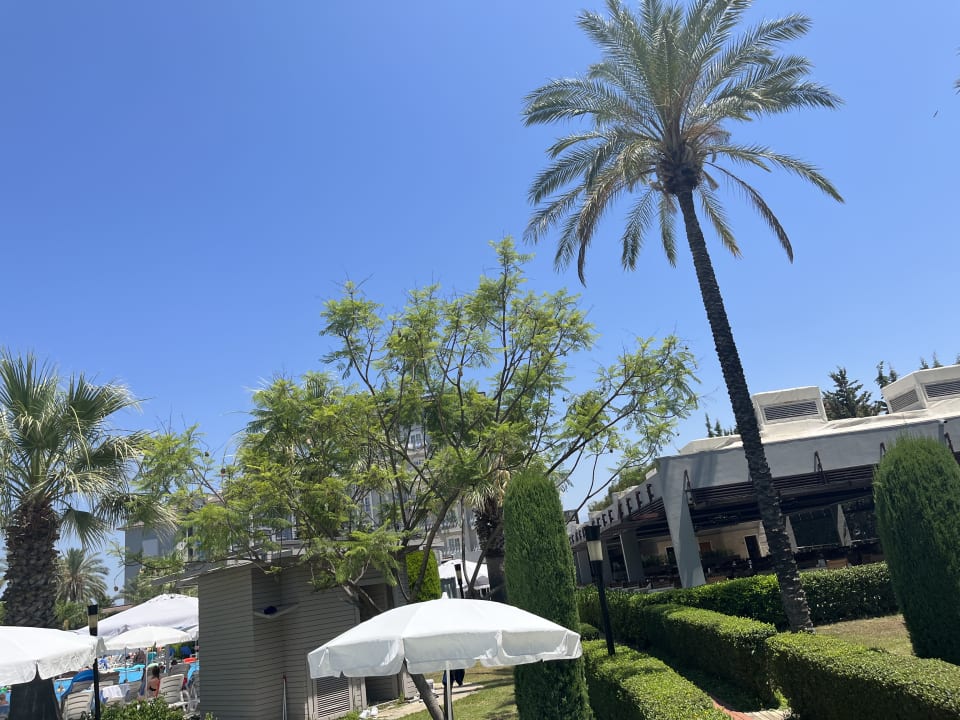 Außenansicht Sunis Elita Beach Resort & Spa