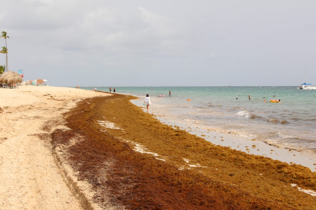 Strand Iberostar Selection Coral Bávaro