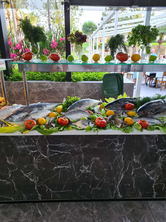 Gastro Monachus Family Resort Sorgun