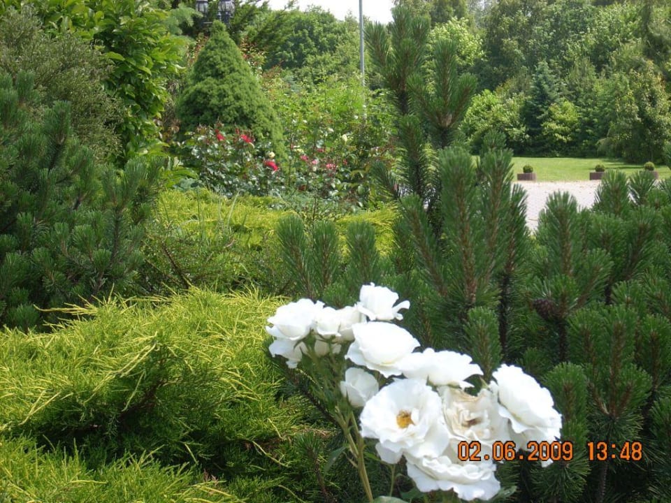 Garten Hotel Montana