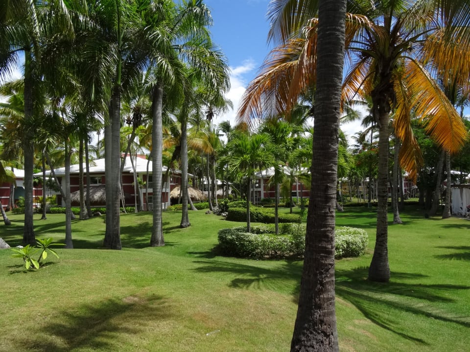 Gartenanlage Grand Palladium Select Bávaro Resort & Spa